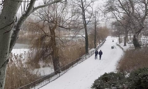 Representative image