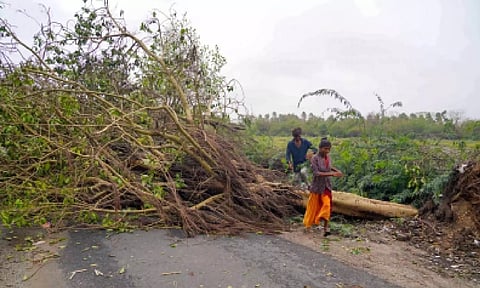 Representative image