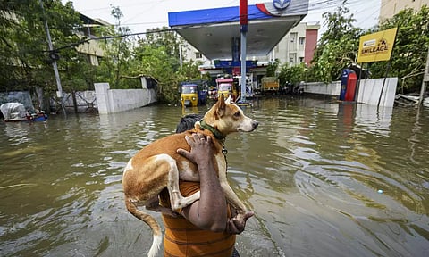 Representative image (PTI)