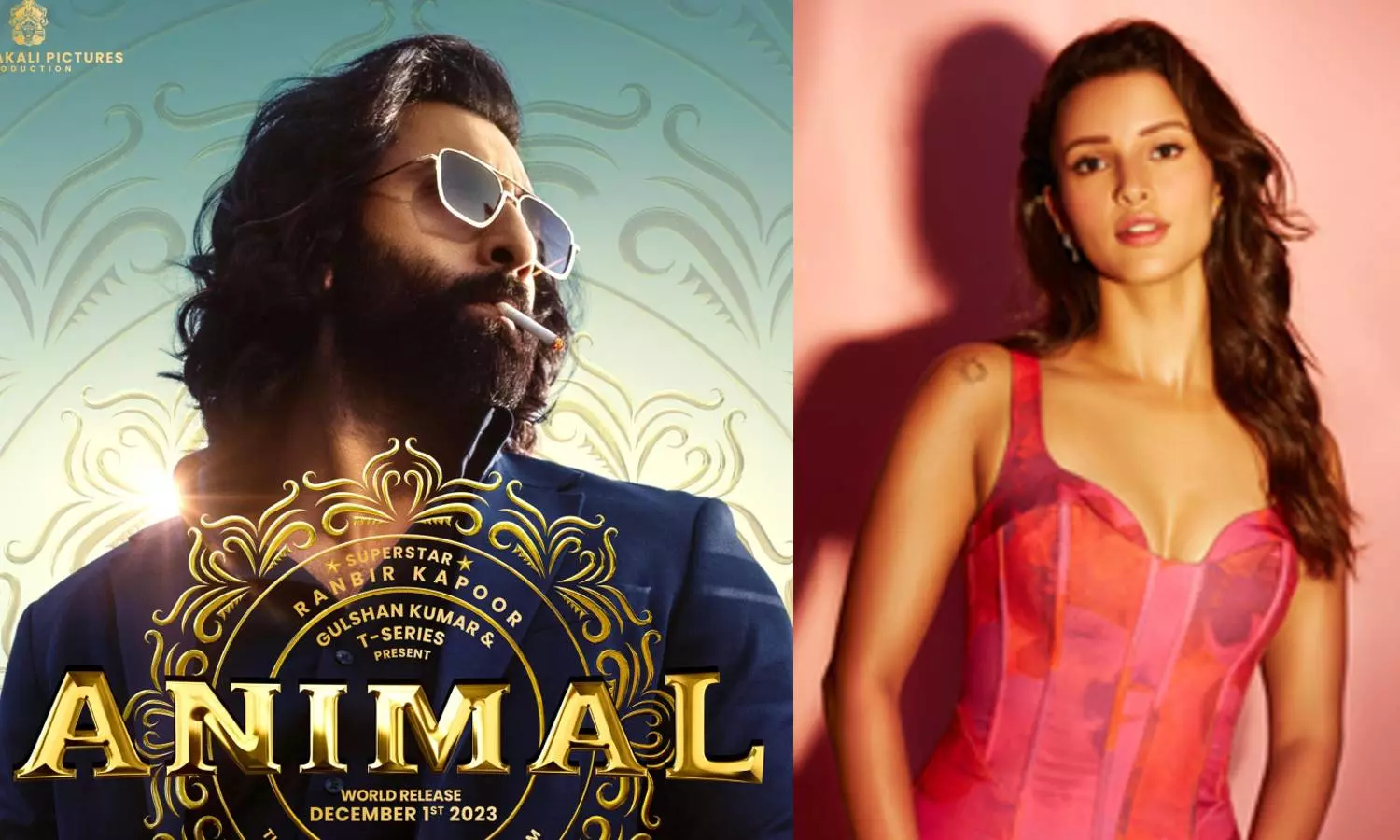 Poster of 'Animal'; Triptii Dimri