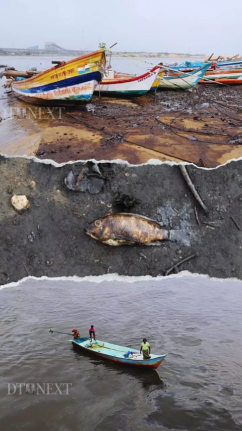 Pollution Response Team inspects  area where fishermen along Ennore Creek were affected by industrial oil leak.