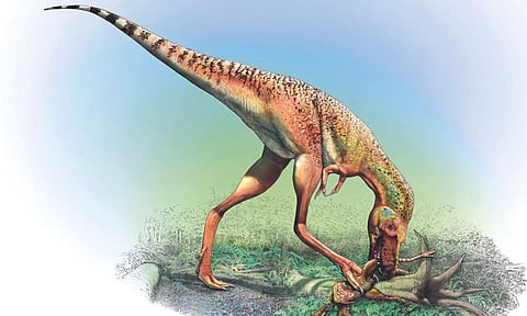 Representative Image