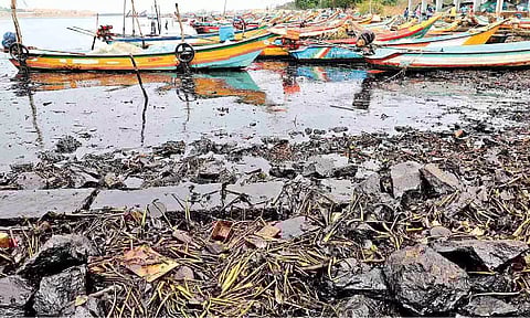 The oil leak has affected households in Ennore