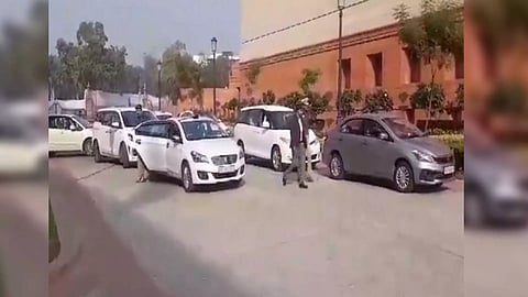 Delhi Police teams arrive in Parliament after security breach (Photo/ANI)