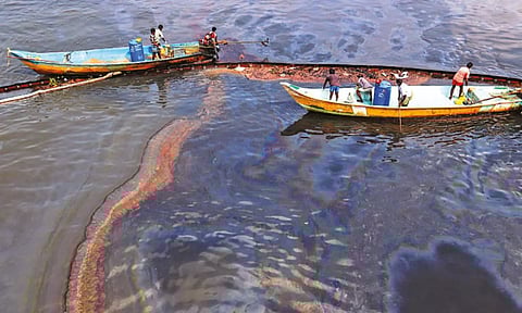 Oil Spill in Ennore (Photo: Hemanathan M)