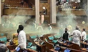 MPs can be seen inside the House where a man released yellow smoke from a canister