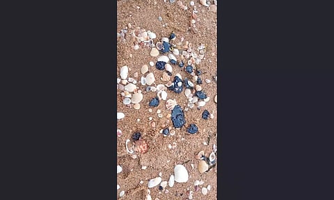 Tar balls seen on Pulicat beach