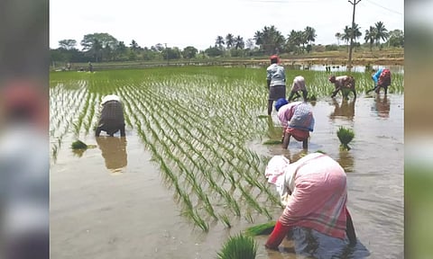 Representative image.