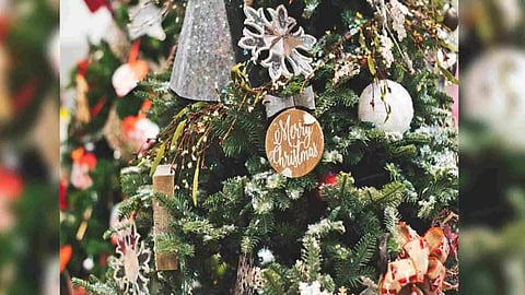 Representative Image (ANI)