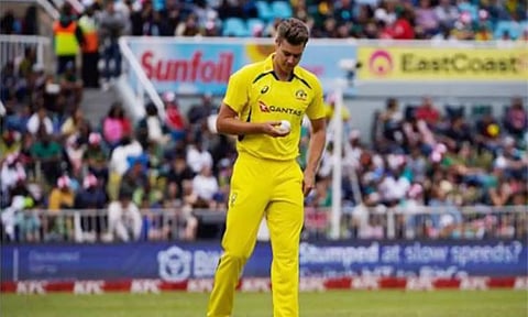 Spencer Johnson (ANI)