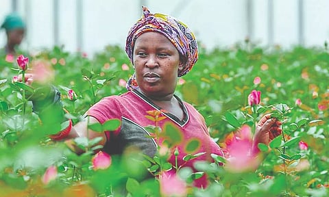 Representative image.