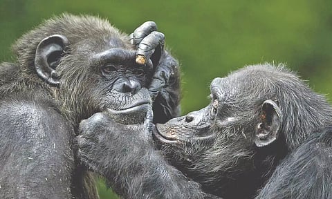 Representative image.