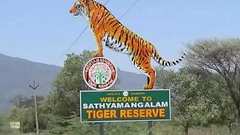 Sathyamangalam Tiger Reserve (Maalaimalar)