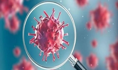 Representative Image (IANS)