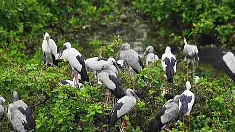 Representative Image