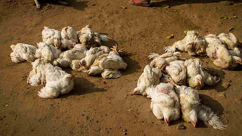 Representative Image