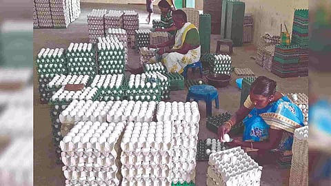 Workers segregate and place eggs in trays at a poultry unit in Namakkal