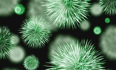 Representative Image (IANS)