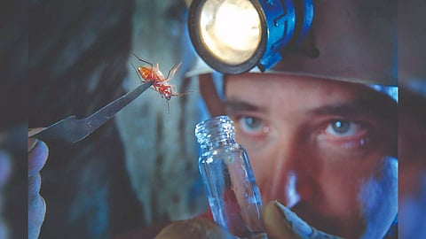 Representative Image