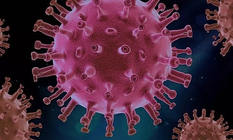 Representative image.