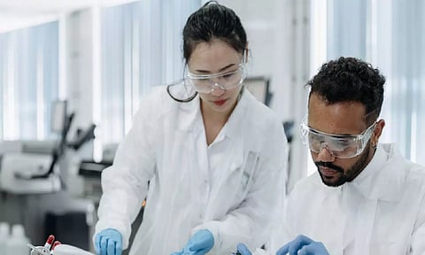 Representative image (ANI)