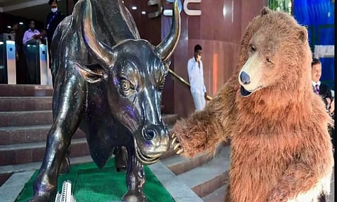 Representative image (ANI)