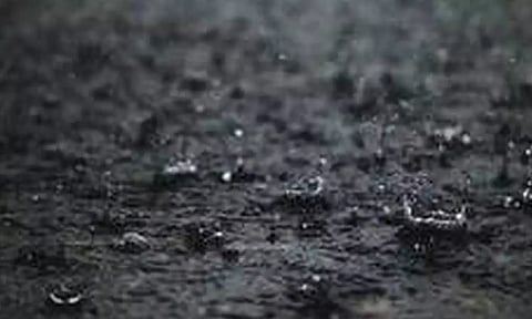 Representative image (ANI)