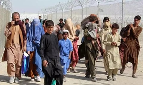 500,000 illegal immigrants repatriated from Pakistan
