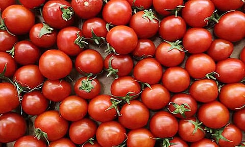 Representative Image (ANI)