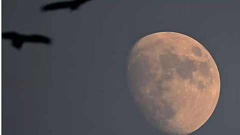 Representative Image&nbsp;