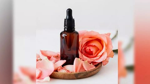 Representative Image (ANI)