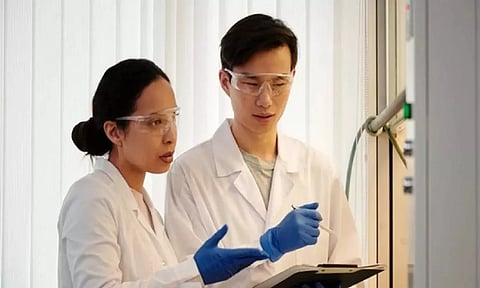 Representative image (ANI)