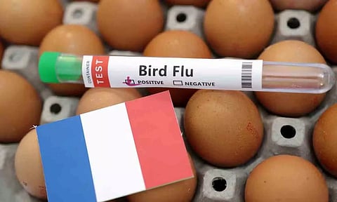 Representative Image (Reuters)