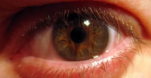 Representative image (IANS)