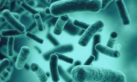 Representative Image (IANS)