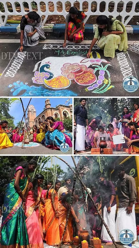 Students of Madras university dressed in traditional outfits dhotis and sarees for the Pongal celebrations held in advance at the campus.