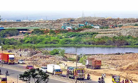 Pallikaranai marshland