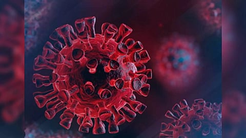 Representative Image (Photo/IANS)