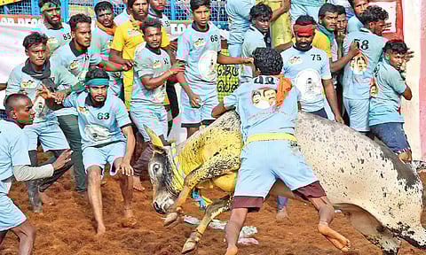 File (Justin George)