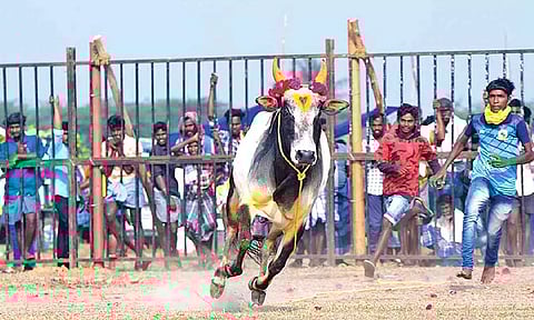 Action at Sooriyur (Justin George)