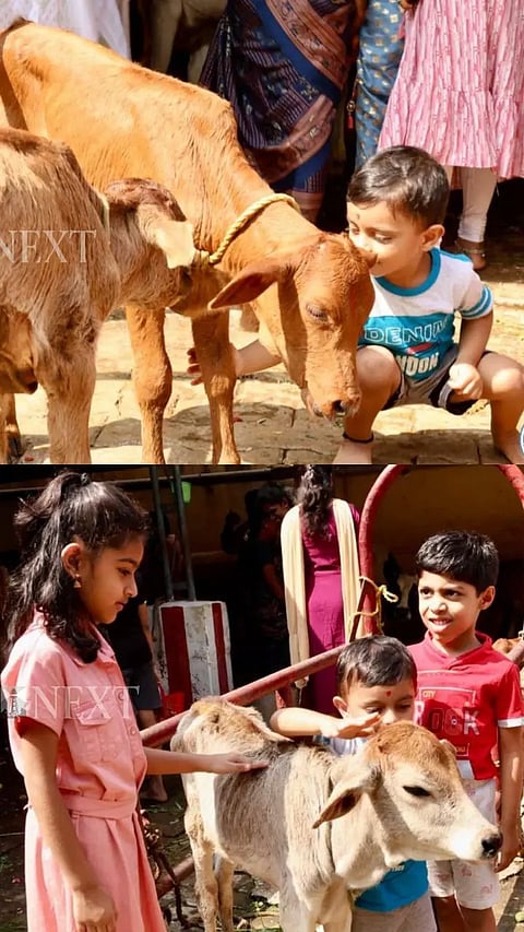 Mother Goddess Gau Mata is a symbol of compassion & manifestation. On the occasion of Maatu pongal, devotees worshipped cows with garlands at GoShala, West Mambalam