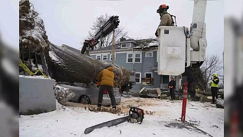 Jose Peralta, with the Oregon Department of Forestry, uses a chainsaw to cut a downed tree into smaller pieces after it fell on a car and a home (AP)