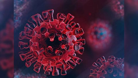 Representative Image (Photo/IANS)