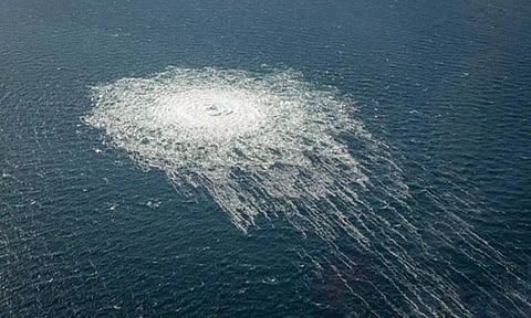 Representative Image (ANI)