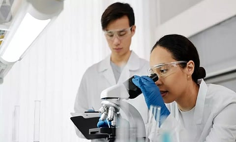 Representative Image (ANI)