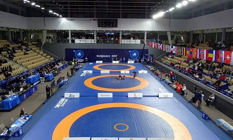 Representative Image (ANI)