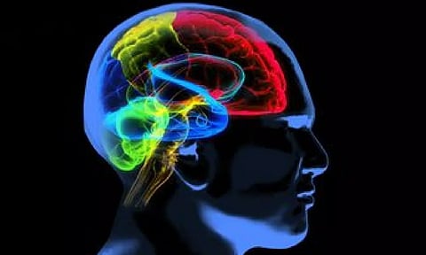 Representative Image (IANS)