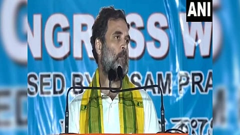 Congress leader Rahul Gandhi (Photo/ANI)