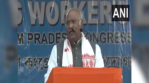 Congress President Mallikarjun Kharge (Photo/ANI)