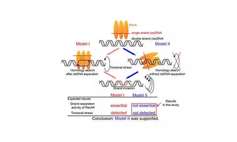 Representative Image (IANS)